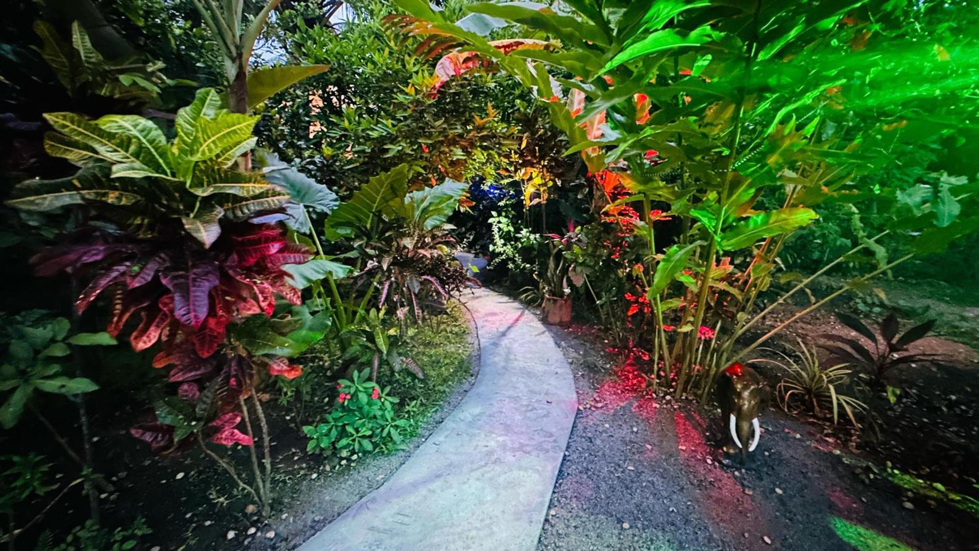 סיגירייה Ama Eco Lodge מראה חיצוני תמונה