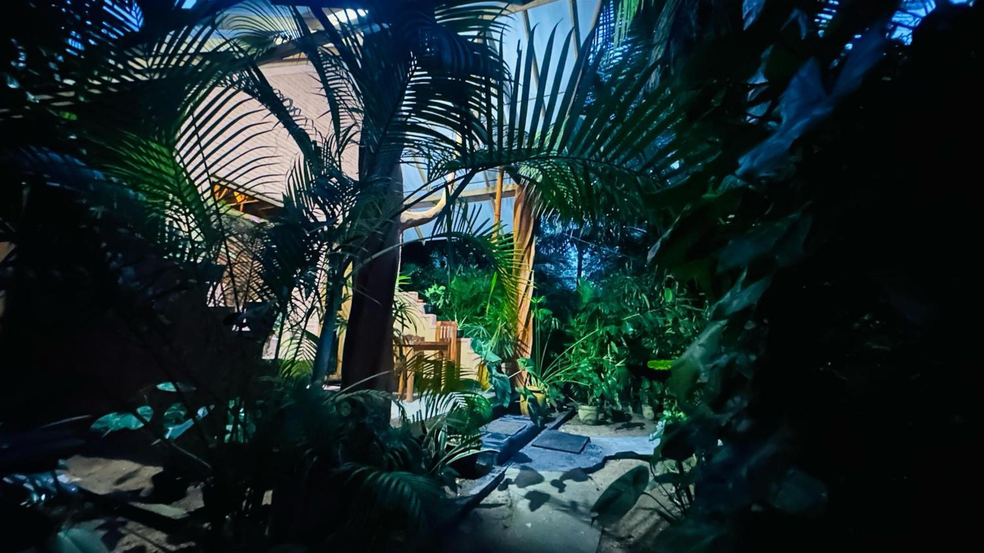 סיגירייה Ama Eco Lodge מראה חיצוני תמונה