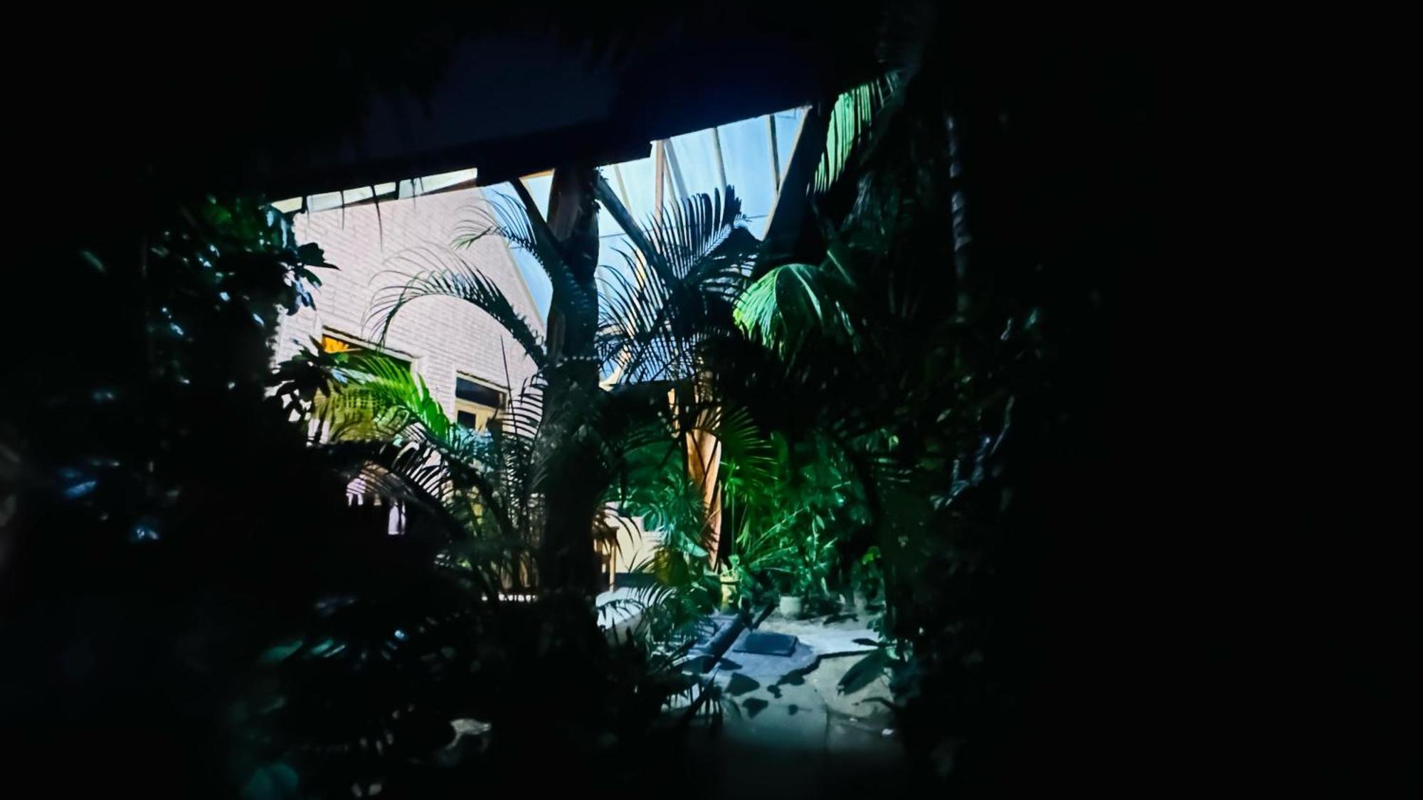סיגירייה Ama Eco Lodge מראה חיצוני תמונה