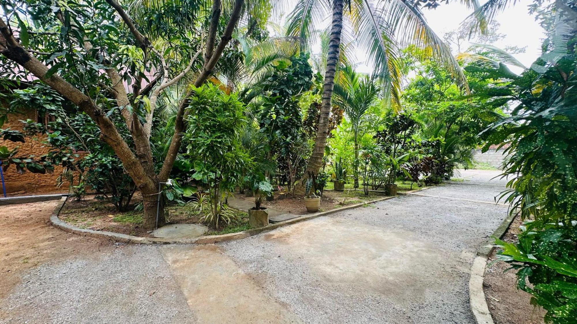 סיגירייה Ama Eco Lodge מראה חיצוני תמונה
