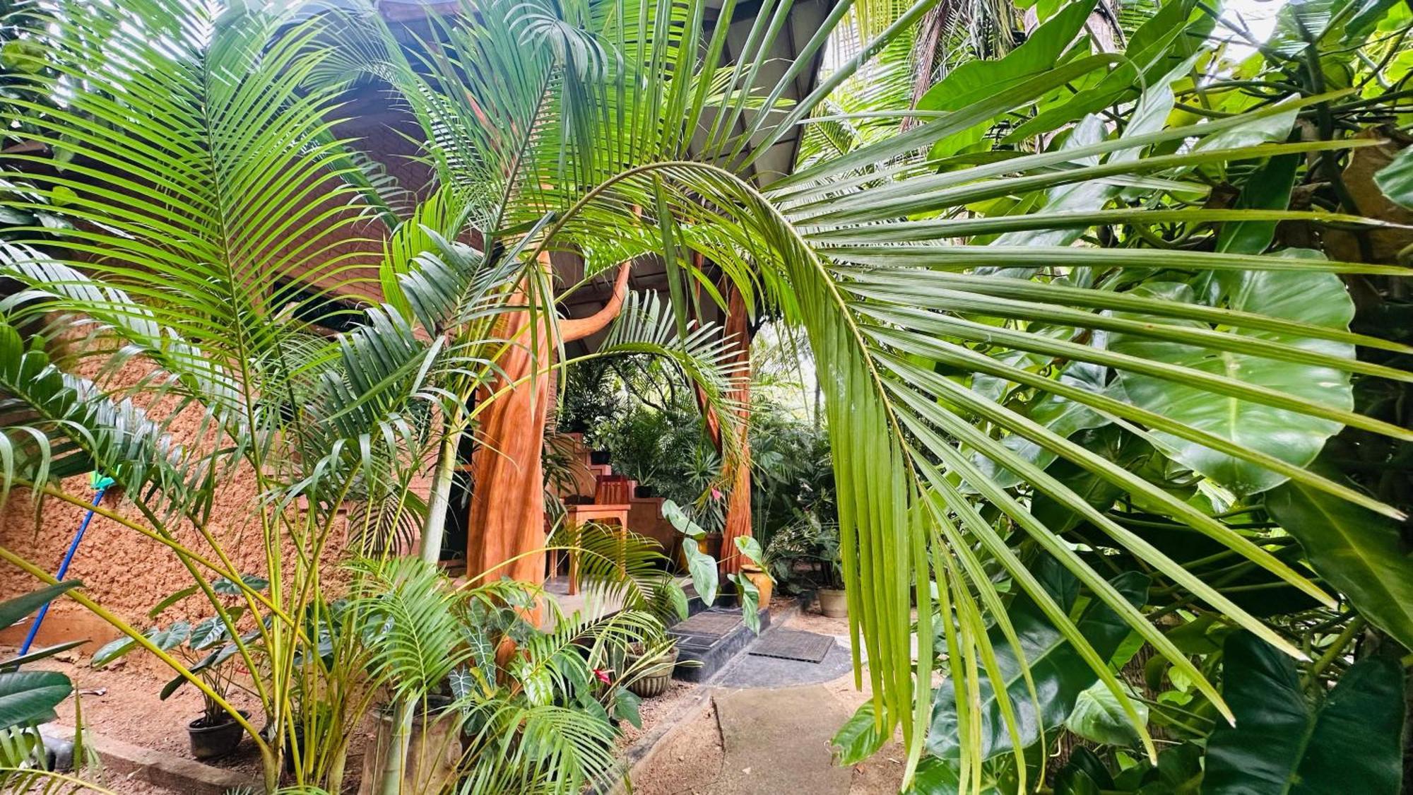 סיגירייה Ama Eco Lodge מראה חיצוני תמונה
