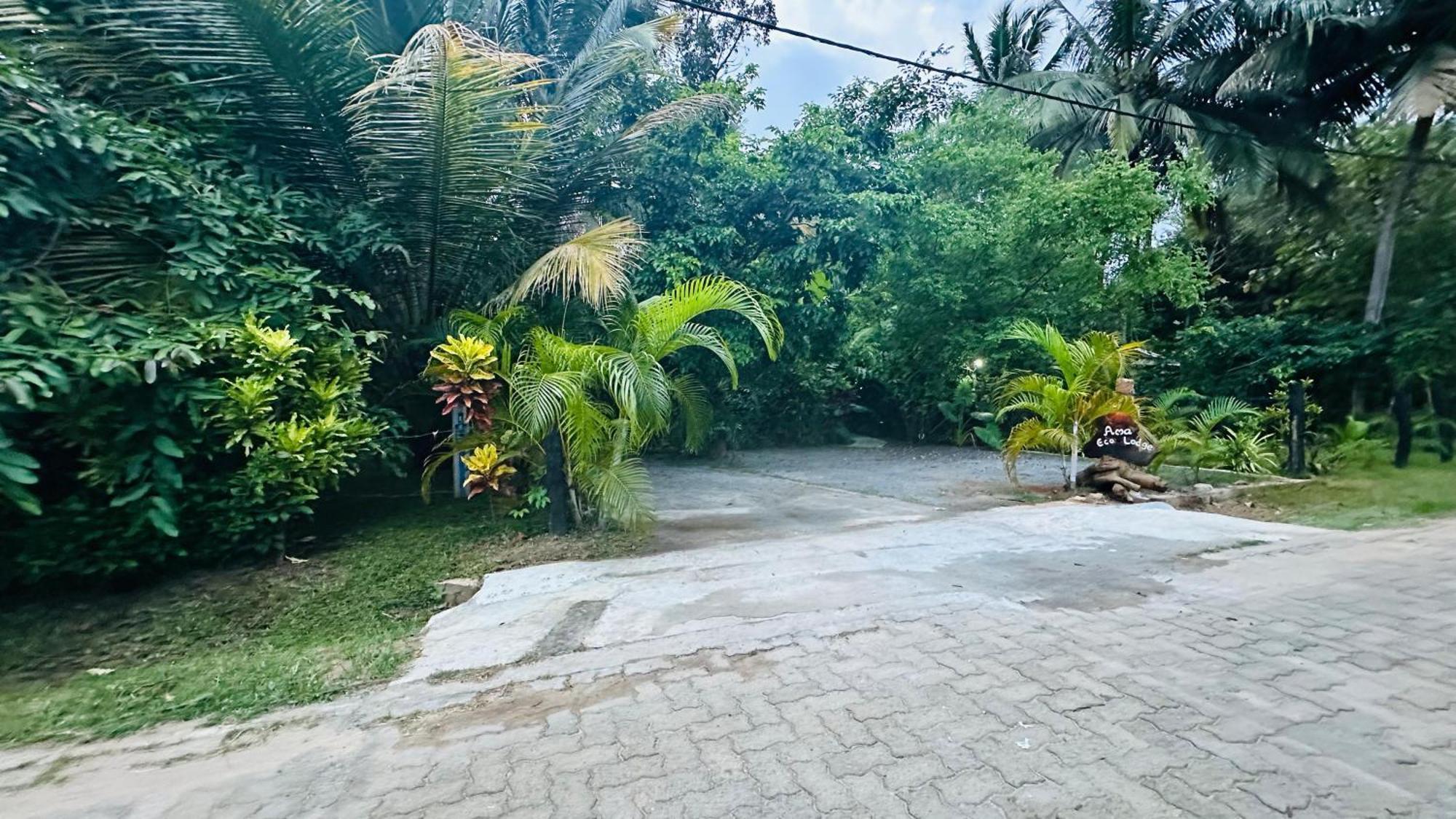 סיגירייה Ama Eco Lodge מראה חיצוני תמונה